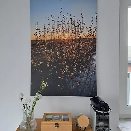 Livora Living - Stilvolles Dg-apartment An Der Fussgaengerzone - 2 Schlafzimmer Appartamento Wilhelmshaven